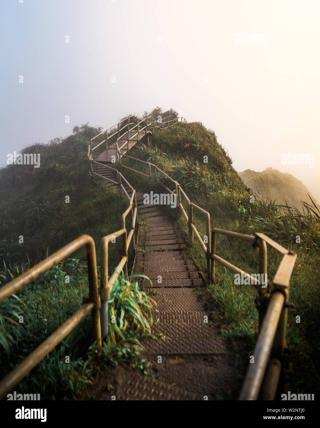 Stairway to heaven hawaii hi-res stock photography and images - Alamy
