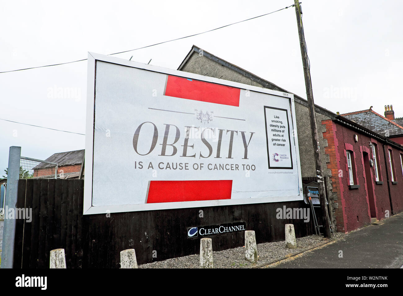 Obesity Is A Cause Of Cancer Too Obesity Poster Obesity Billboard