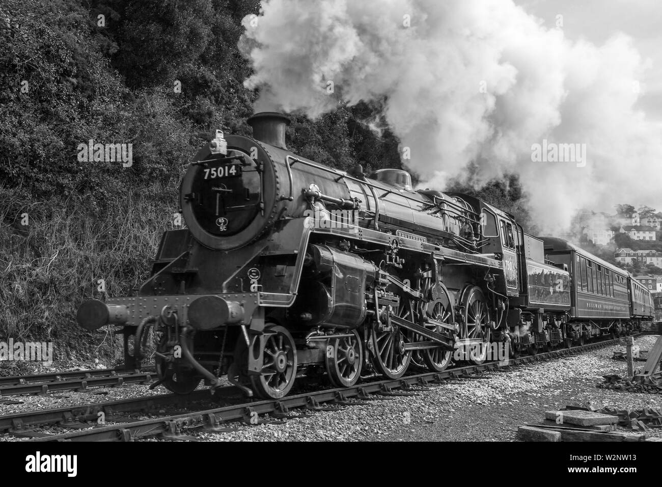 Dartmouth Steam Railway train Stock Photo Alamy