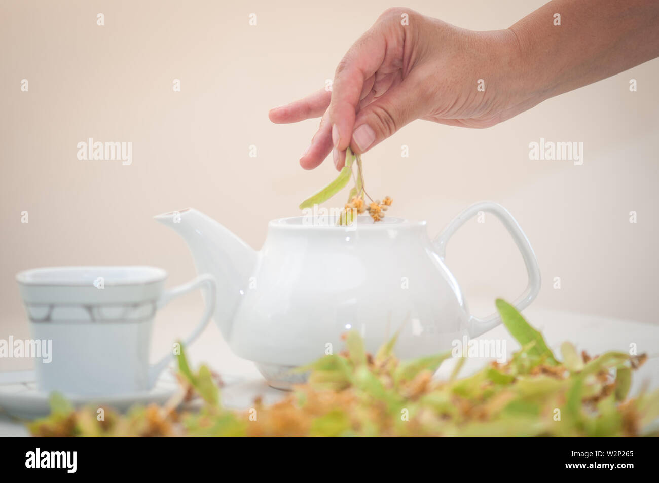 Brew tea with dried linden blossom in natural environment Stock Photo