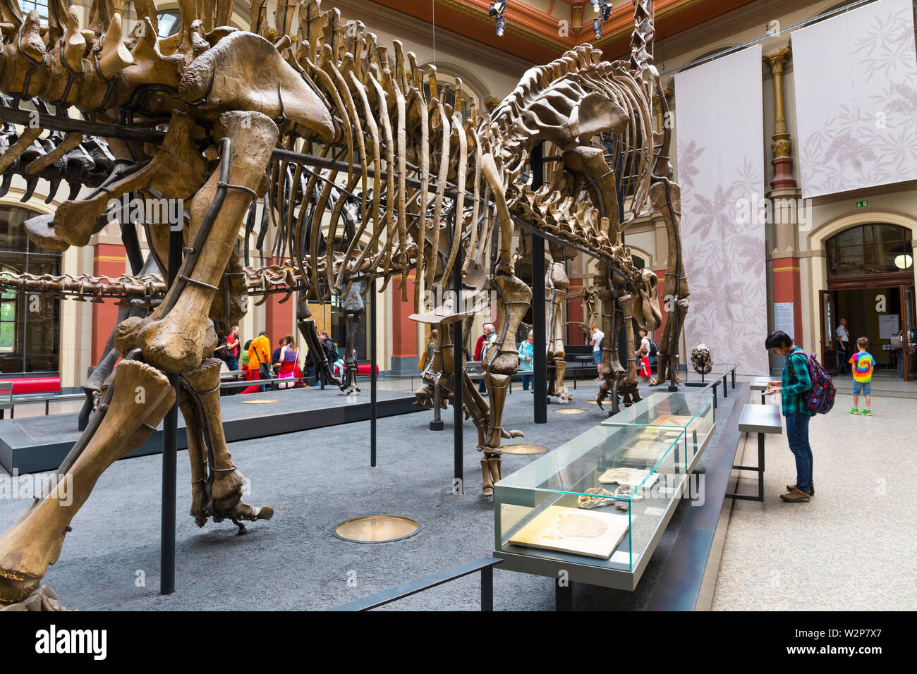 The Museum für Naturkunde (MfN), the Naturkundemuseum or Humboldt
