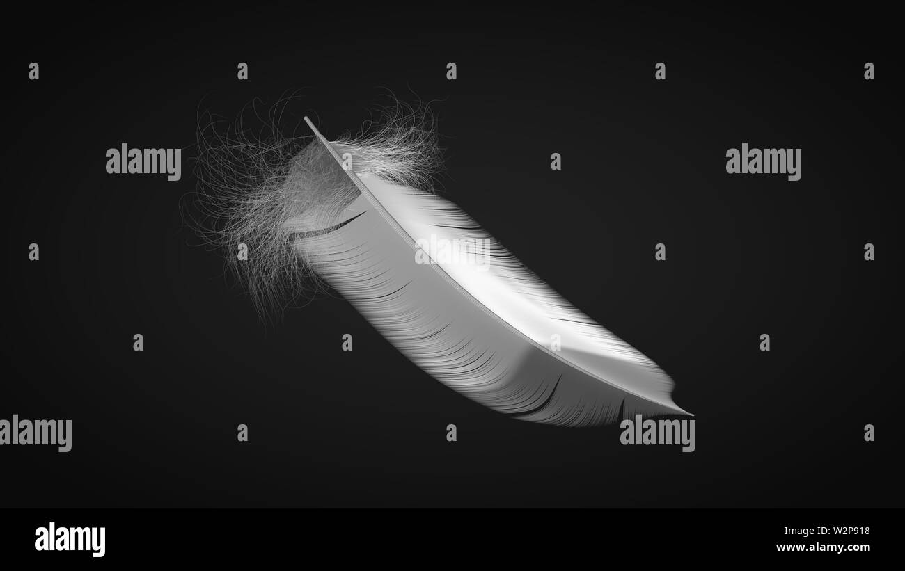 White Feather Stock Photos, Images and Backgrounds for Free Download