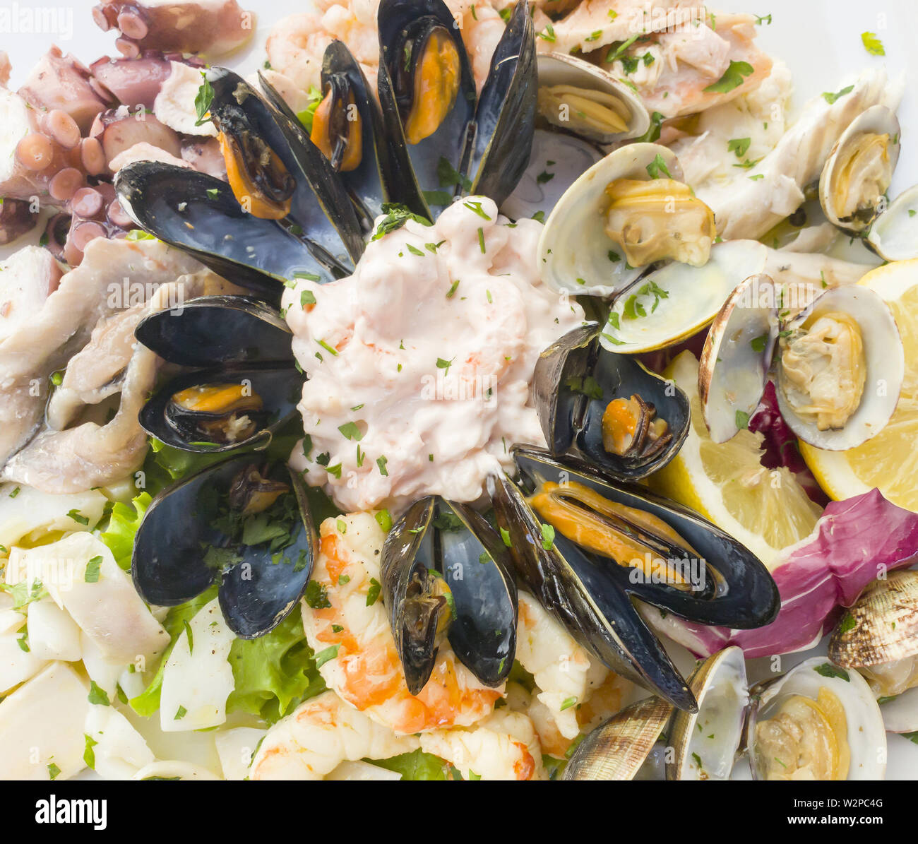 Seafood shells mussels as a cold appetizer Stock Photo
