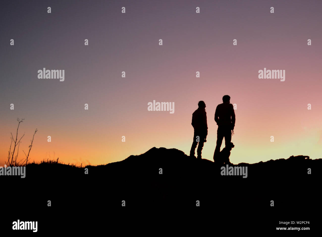 A dad with his son standing with their dog on a ridge watching the sun rise Stock Photo