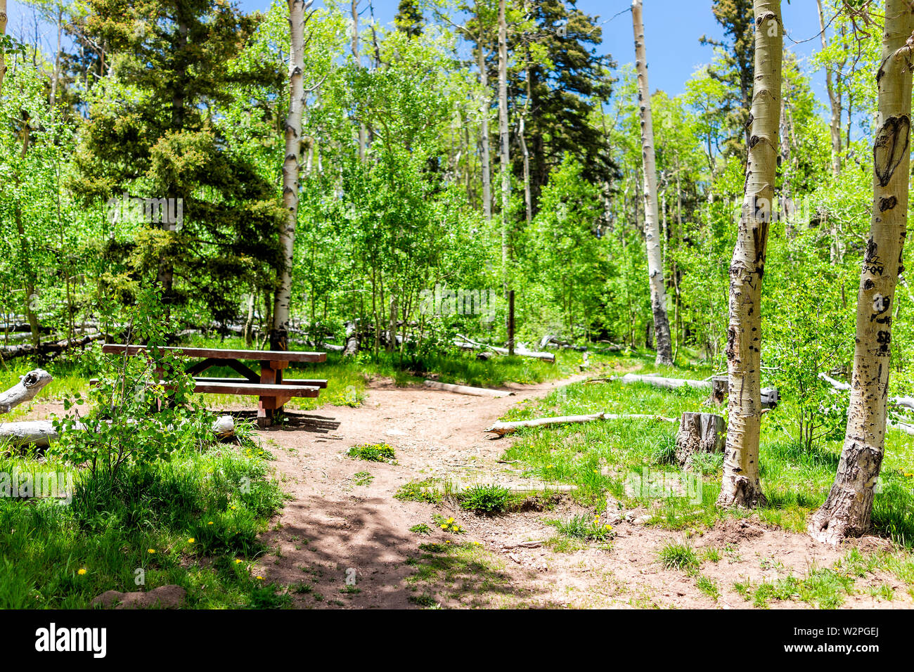 Santa Fe National Forest park Sangre de Cristo mountains with trail and