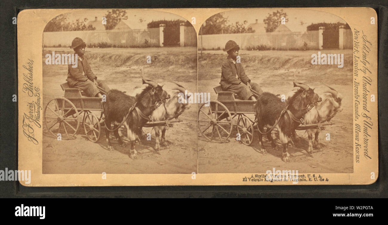 A stylish Virginia turnout, (showing African American boy in goat cart), by Jarvis, J F (John F), b 1850 2 Stock Photo