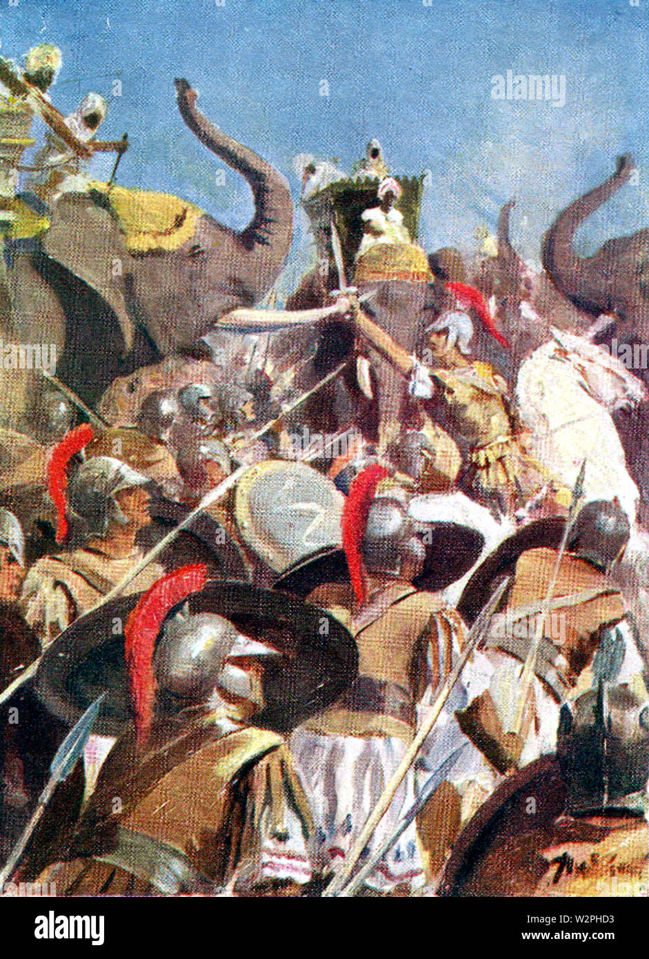 Porus hi-res stock photography and images - Alamy