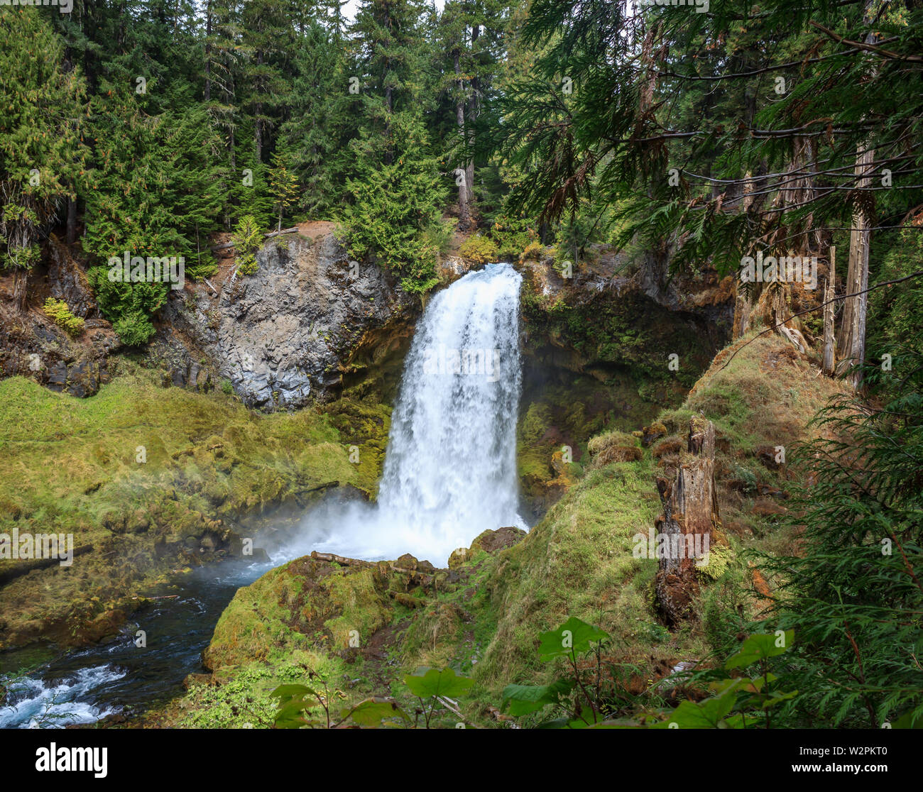 Sahalie Falls along the McKenzie River, Oregon, USA Stock Photo