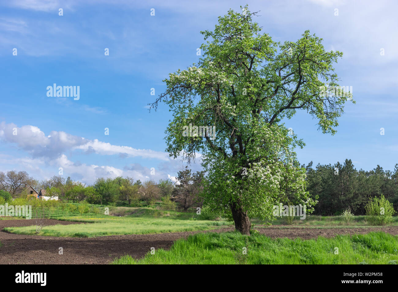 Ukrainian village in spring rural hi-res stock photography and images ...