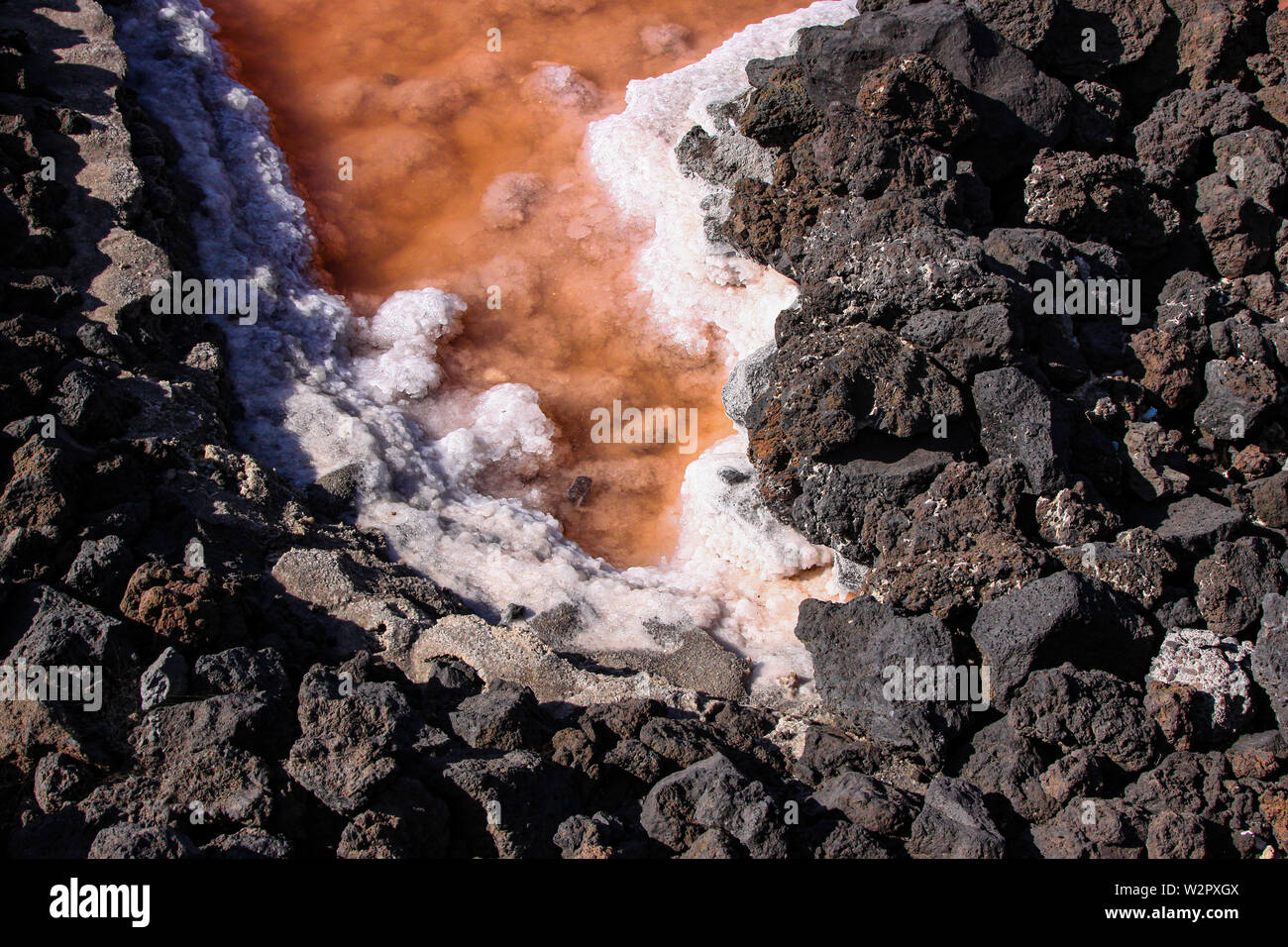 Closeup of the border of a salt pan in the colors black, white and orange | The water has already partially evaporated Stock Photo