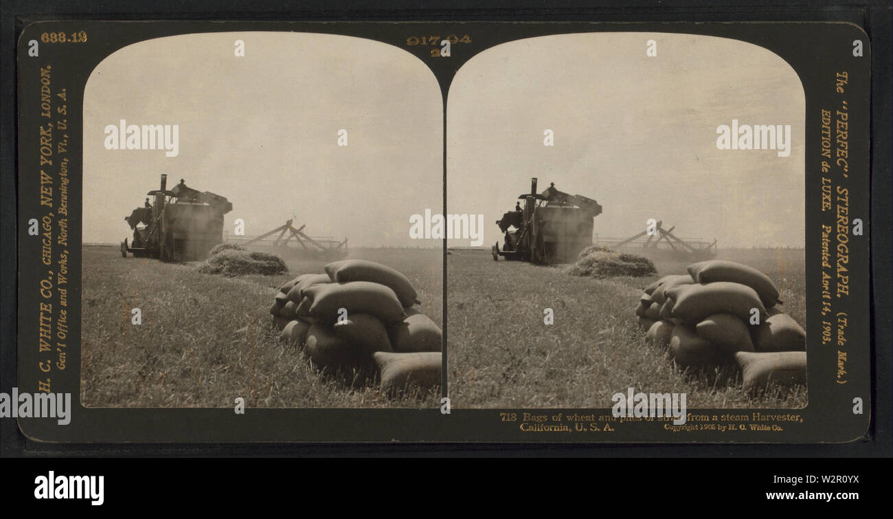 Bags of wheat and piles of straw from a steam harvester, California, USA, from Robert N Dennis collection of stereoscopic views Stock Photo