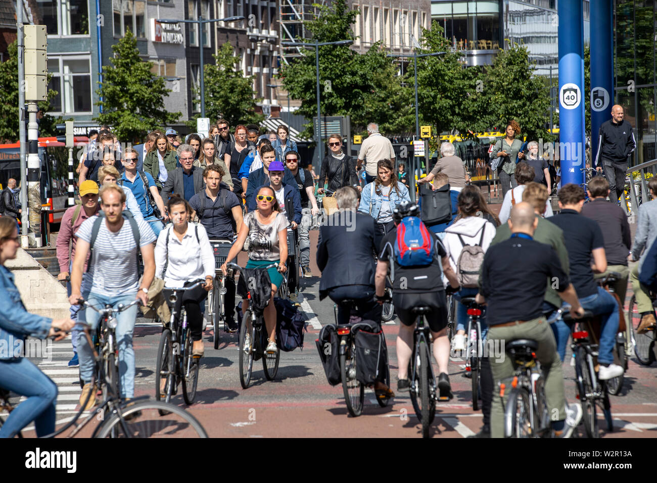 city cycle