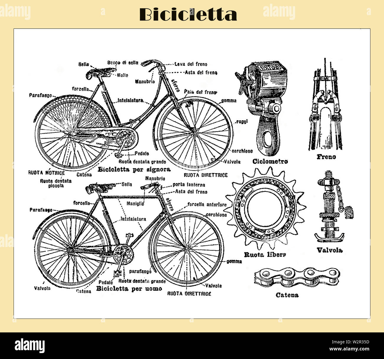 Bicycle parts illustration hi res stock photography and images Alamy