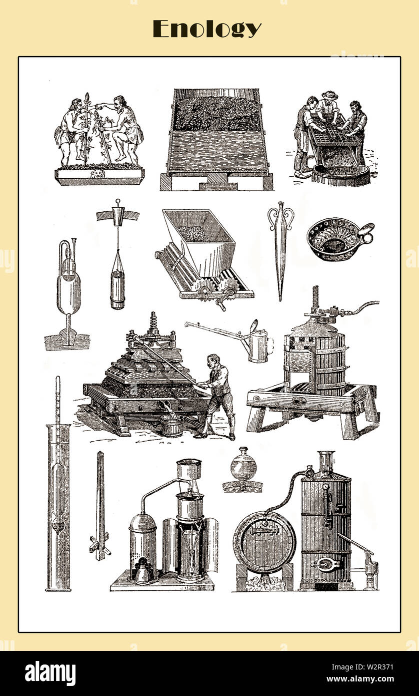 A brief history of the art of wine making through the centuries. Author