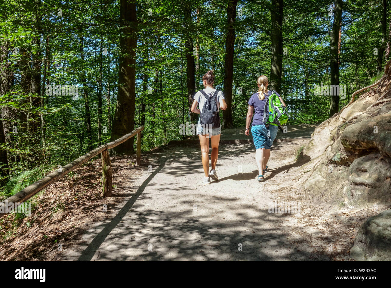 Two women hiking in Saxon Switzerland National Park, Germany hiking Europe walkers Hiker Germany summer mid-summer walk park Walking forest Stock Photo
