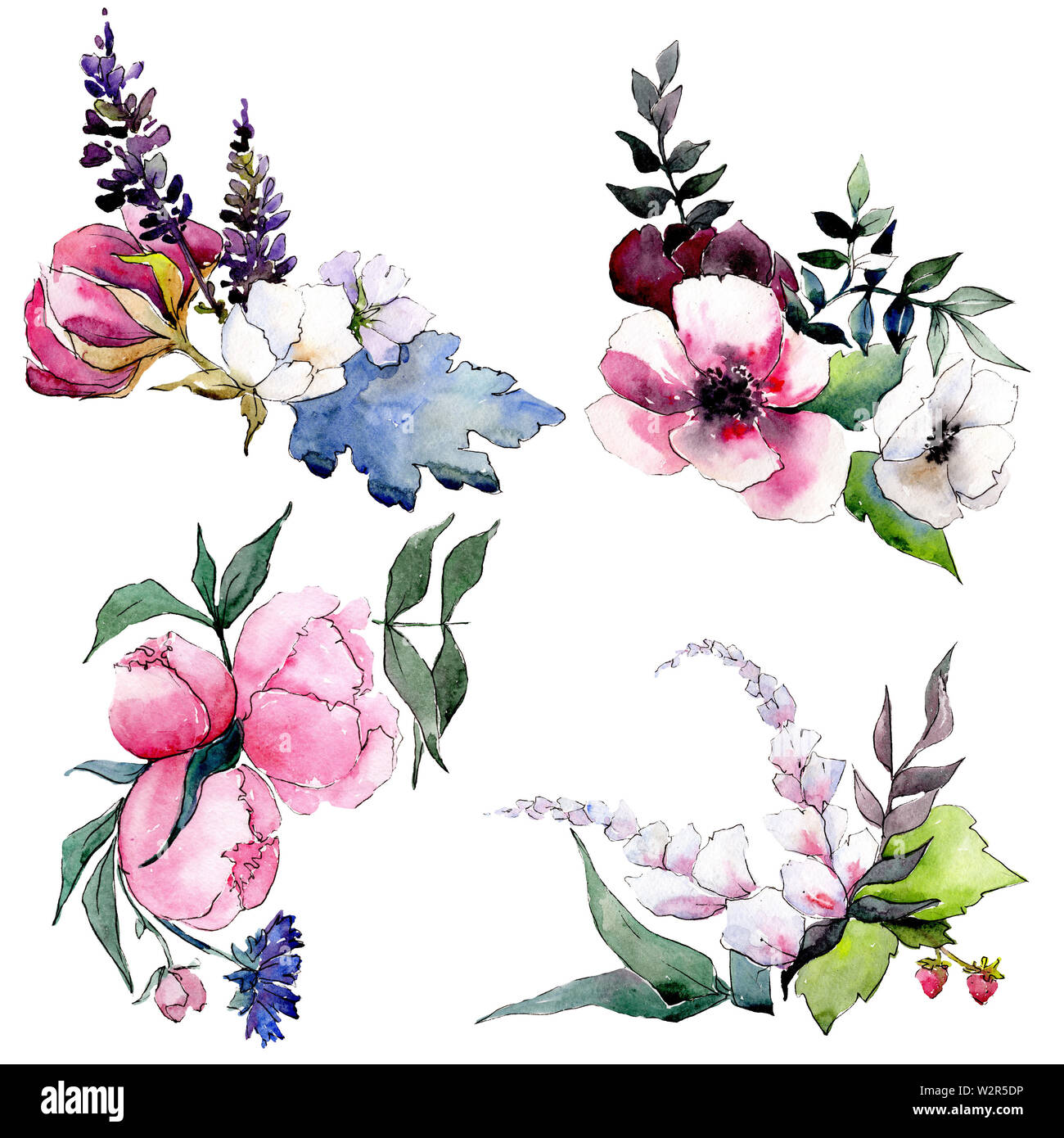 Bouquet floral botanical flowers. Watercolor background illustration ...
