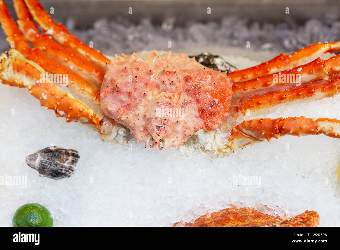 King crab on ice at street food festival. Concept of seafood in fast food. Stock Photo