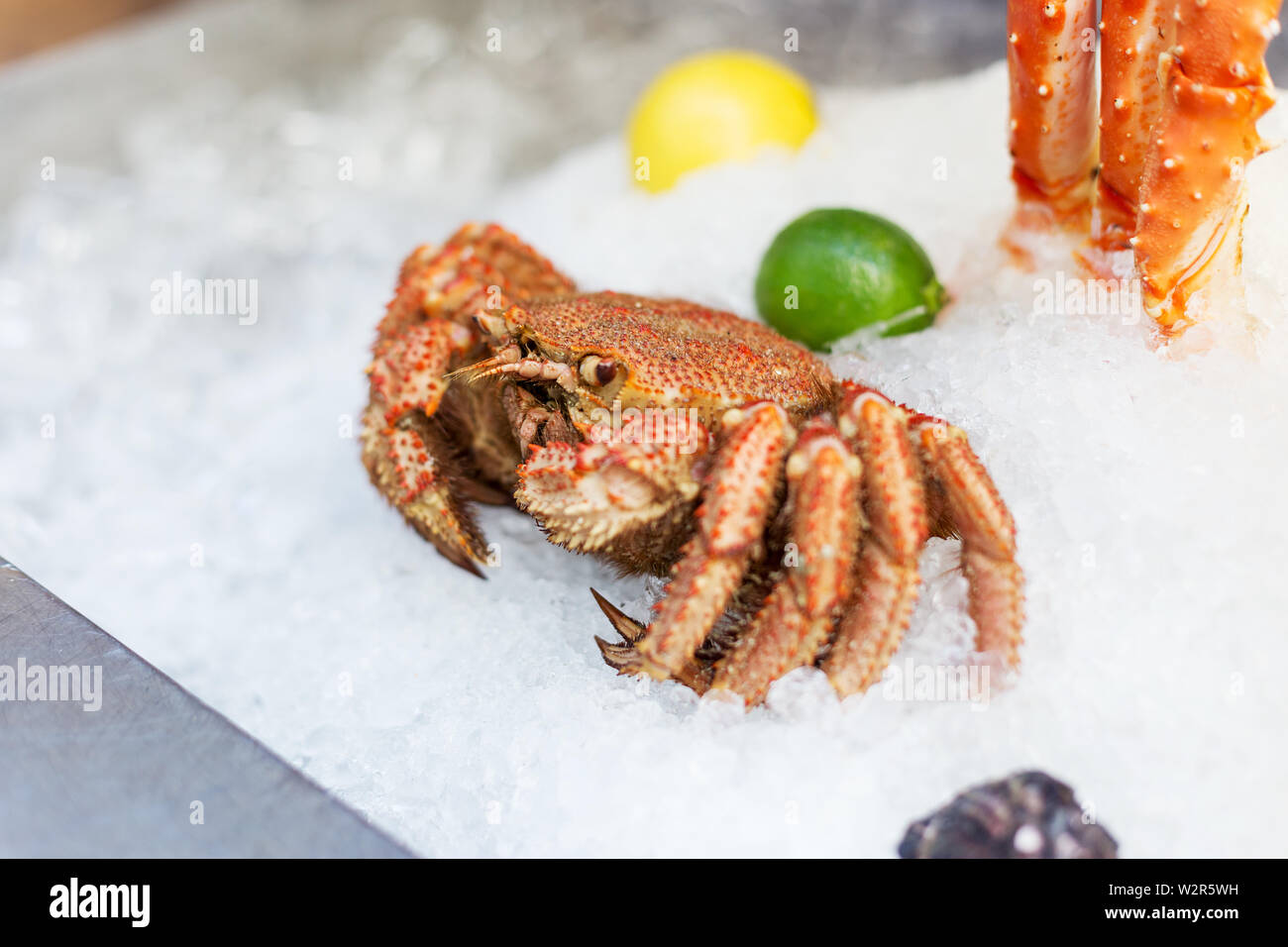 Whole crab on ice with lime on street food festival Stock Photo