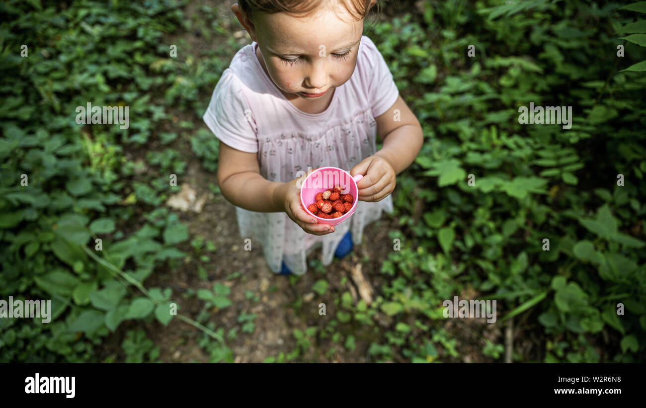 Overhead view of a toddler girl in pink dress holding a cup with wild strawberries standing on a forest footpath. Stock Photo