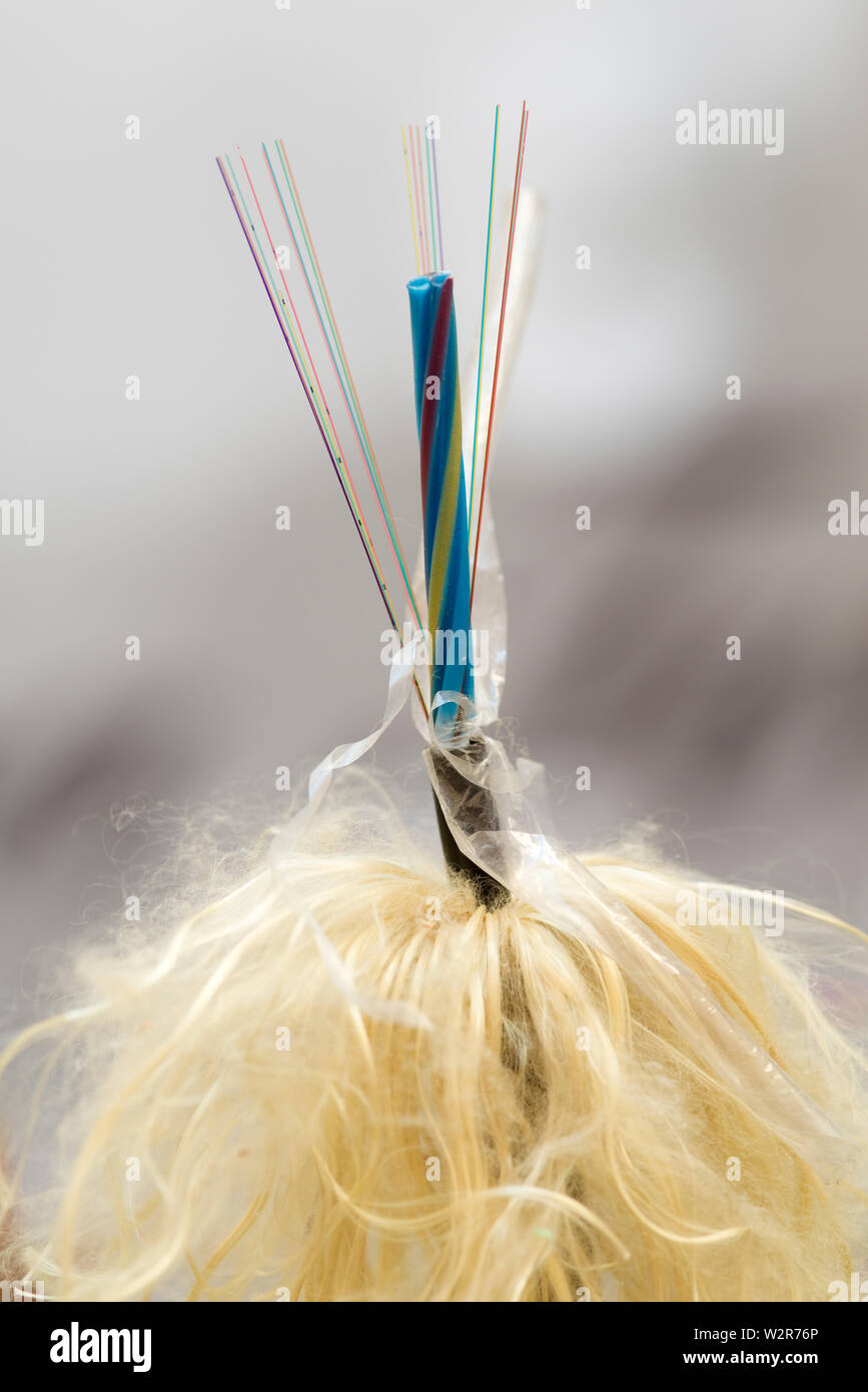 Fiber Optical Network Cable Stock Photo