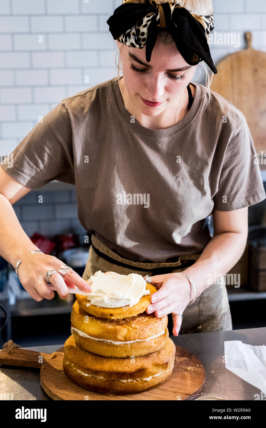 A cook working in a commercial kitchen assembling a layered sponge cake with fresh cream. Stock Photo