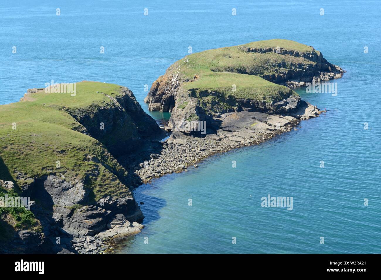 Ynys Lochtyn tidal island on the coast of Ceredigion bay used as icon for the Ceredigion Coast PathLlangrannog Wales Cymru UK Stock Photo