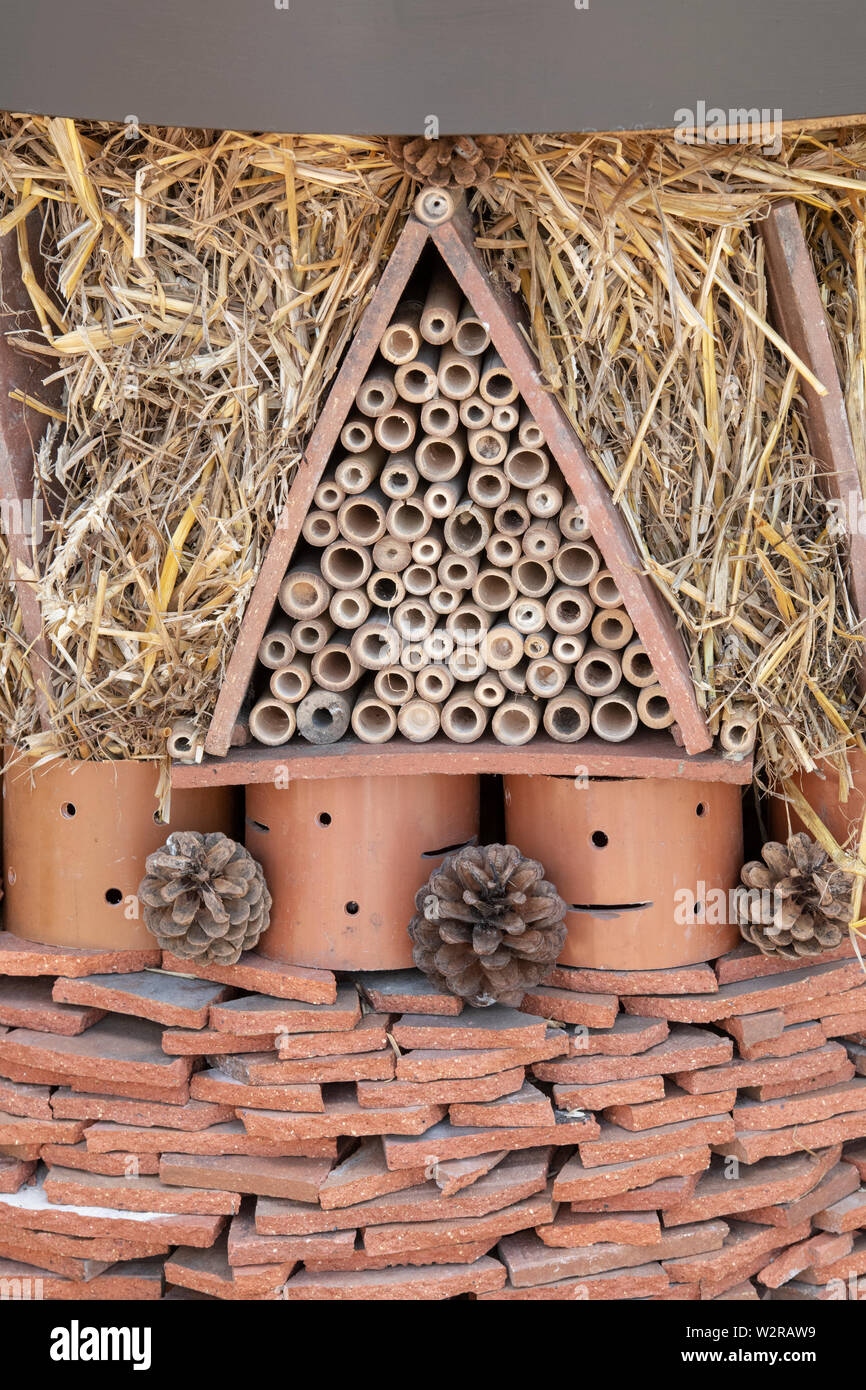 Insect box hires stock photography and images Alamy