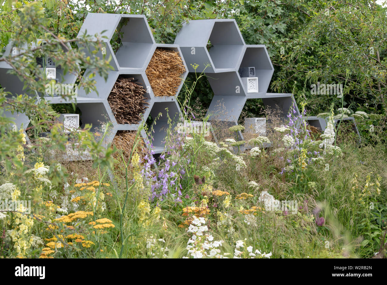 The Urban Pollinator garden at RHS Hampton Court flower show 2019. Hampton Court, Surrey, England. Designed by Caitlin McLaughlin Stock Photo