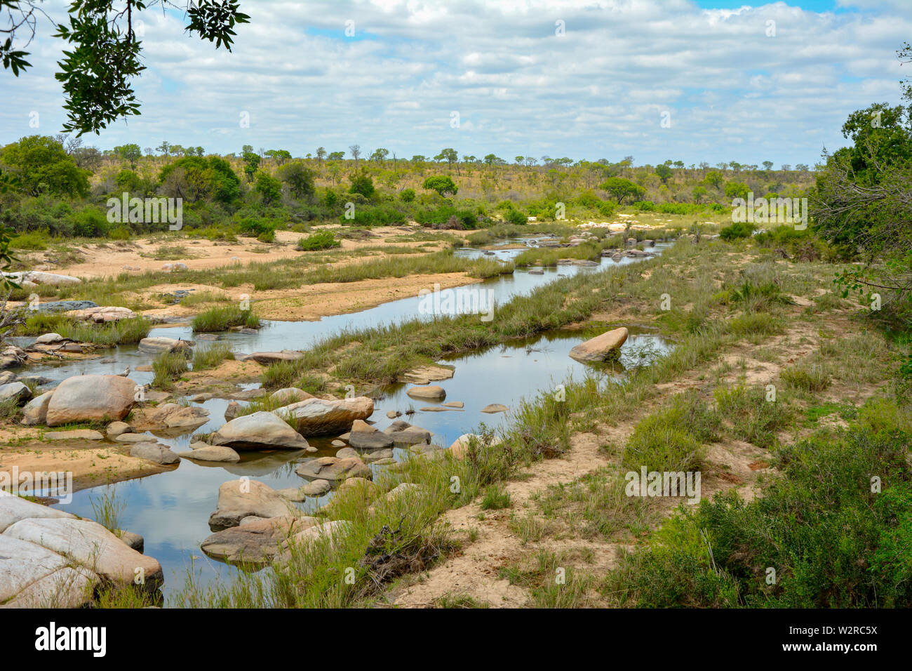 view out over Masai Mara river in dry season Kenya Stock Photo Alamy