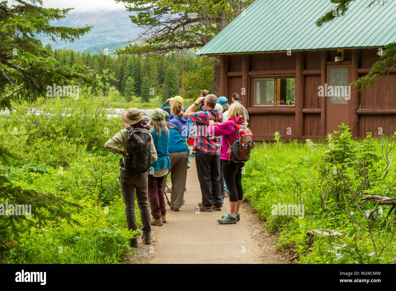 Group of guided visitors looking at wildlife trough binoculars on the Swiftcurrent Lake paved trail near Many Glacier, Glaicer National Park, USA. Stock Photo