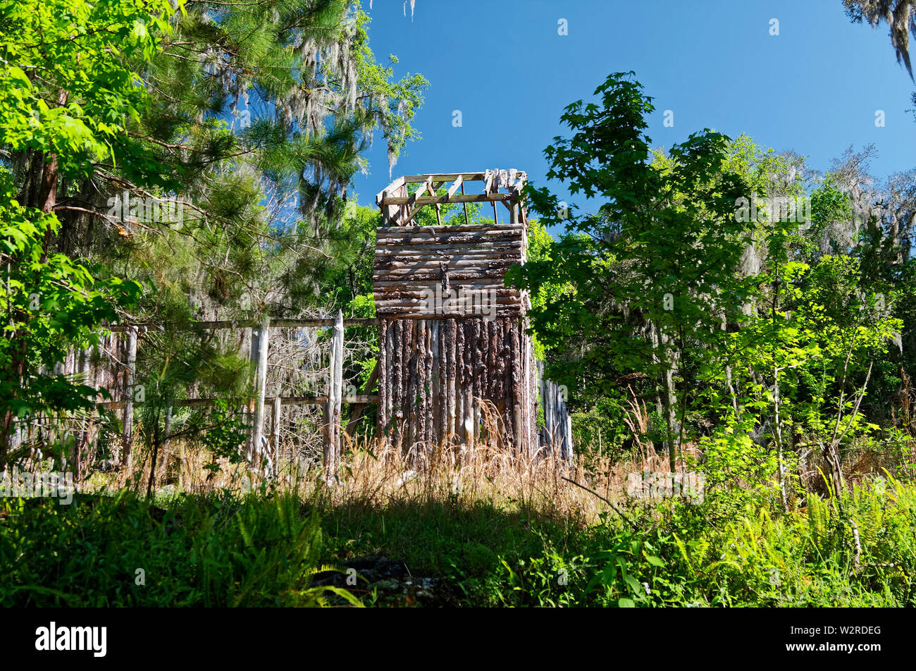 abandoned building, dilapidated, falling apart, old, among trees