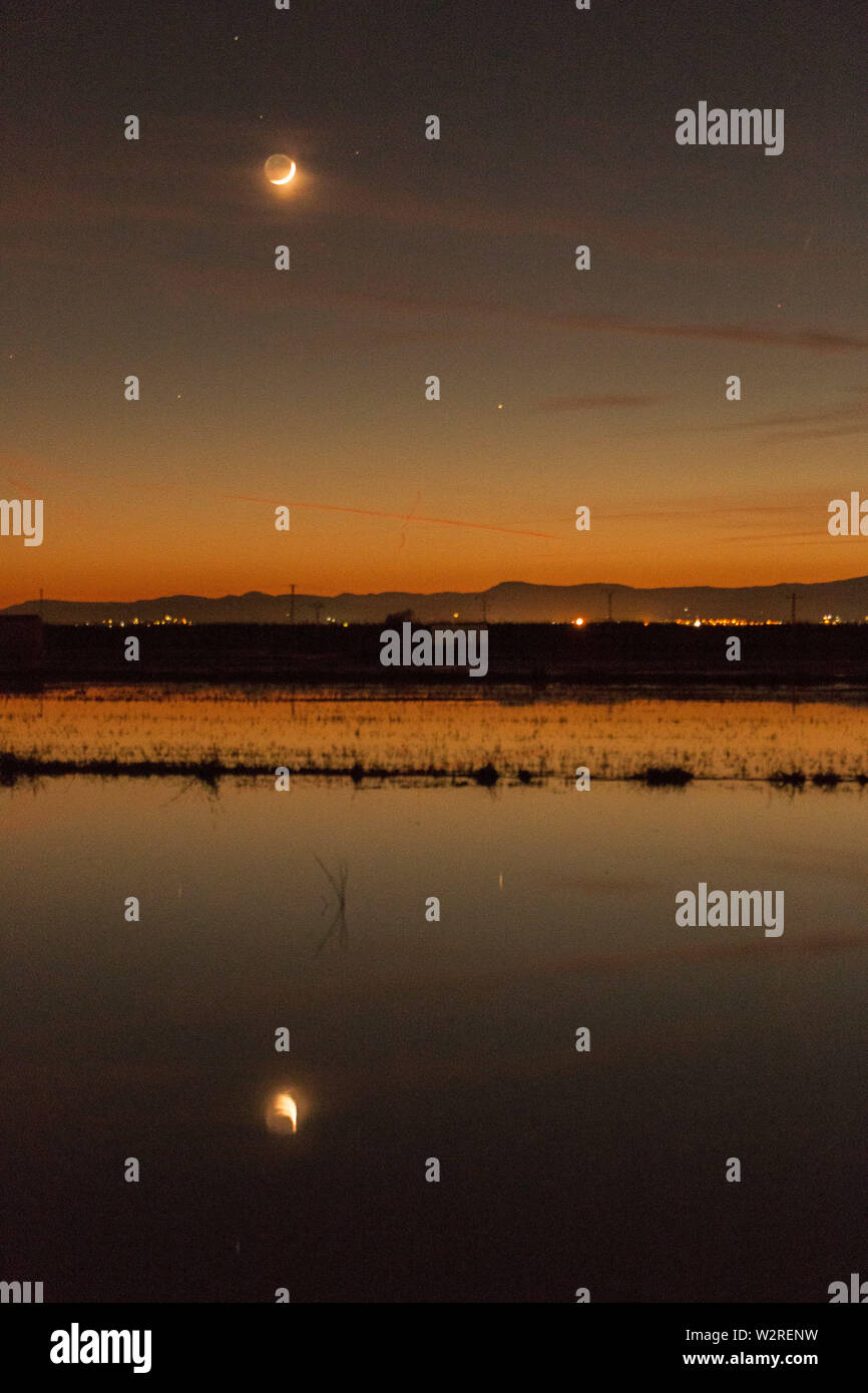 Albufera lagoon nature park hi-res stock photography and images - Alamy