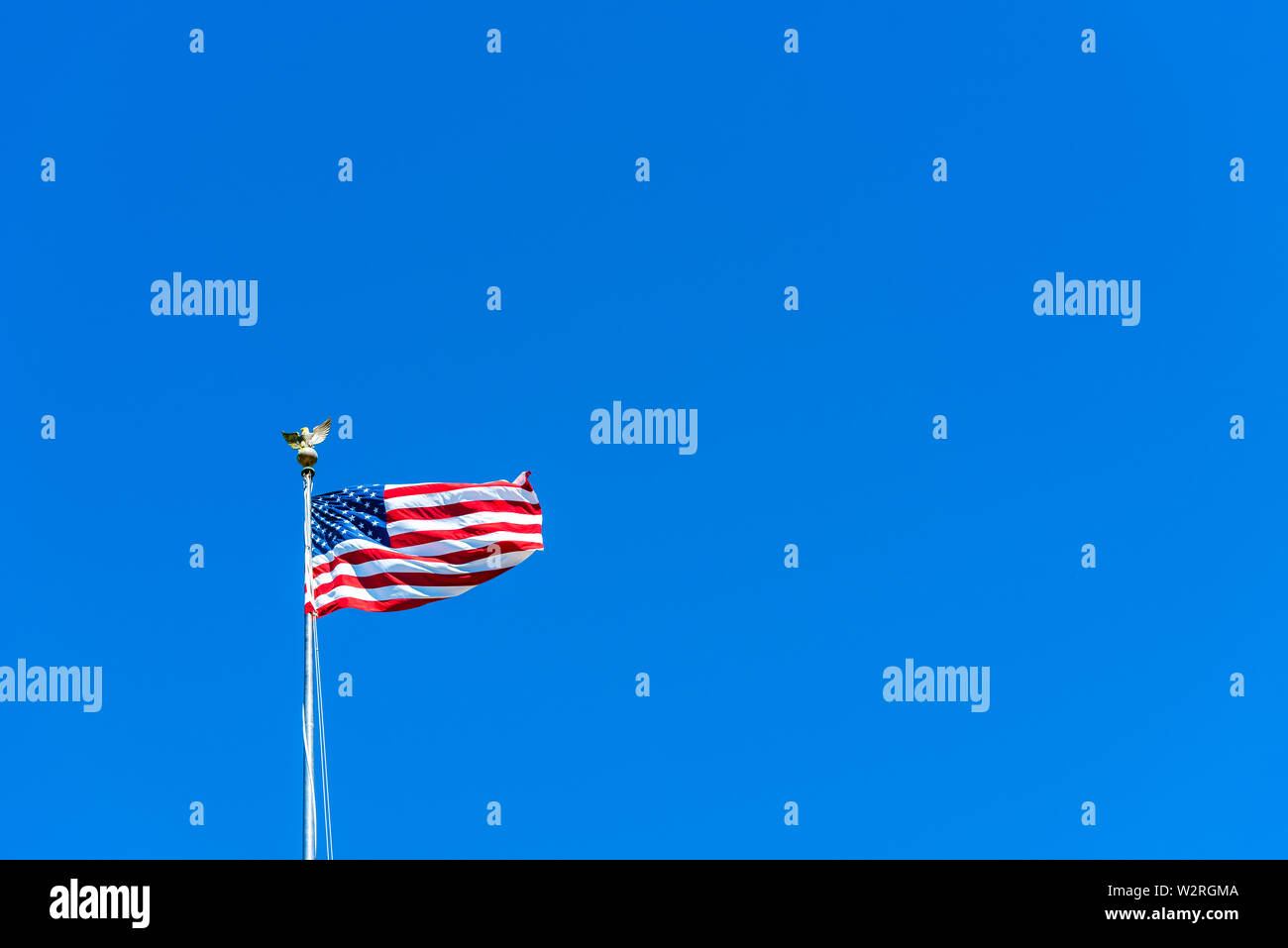 American flag at the Golden Gate National Cemetery, San Bruno, California, USA. Isolated on blue background. Stock Photo