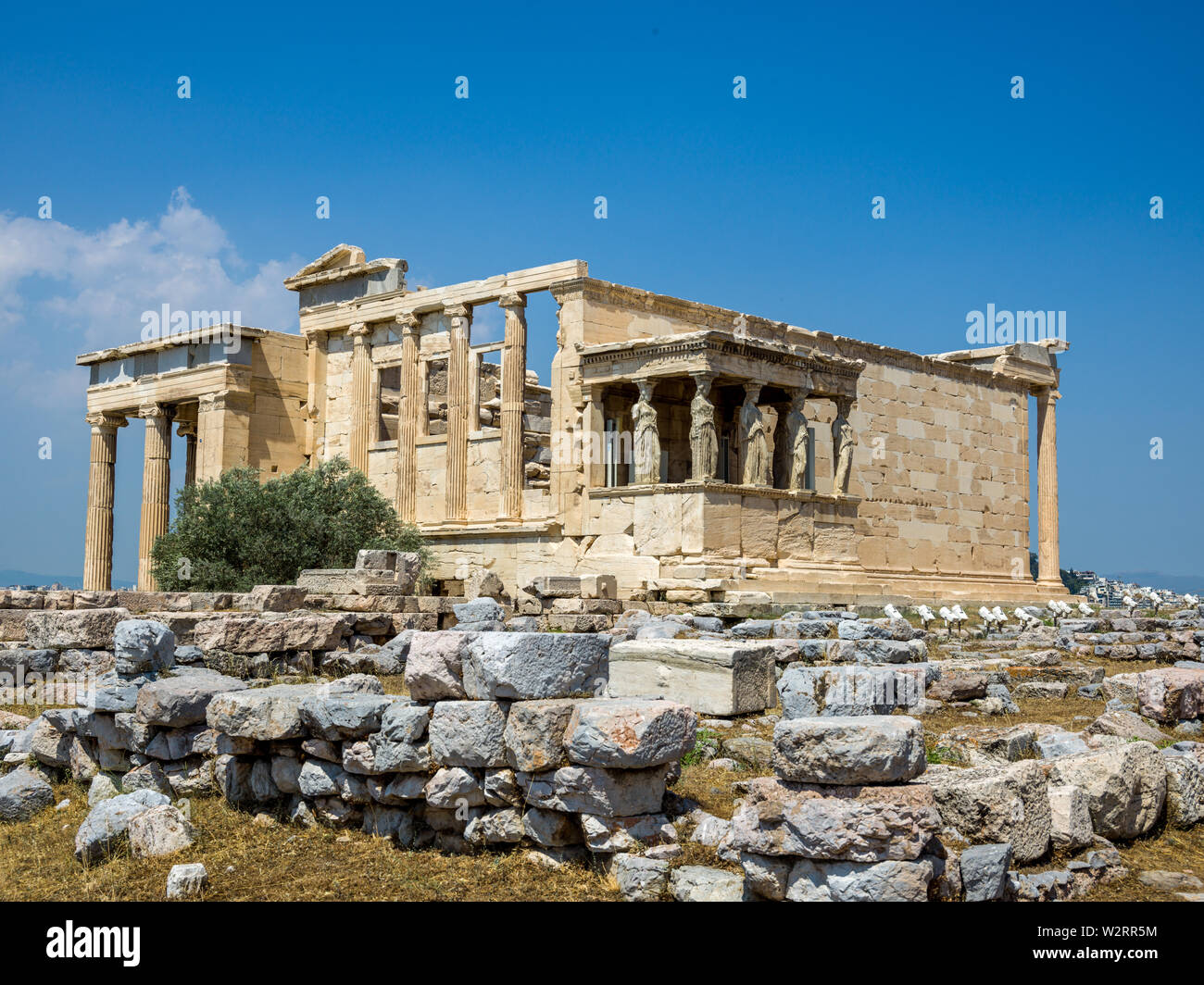 Athens, Greece, 9 July 2019 The sacred "Tree of Life", an ancient