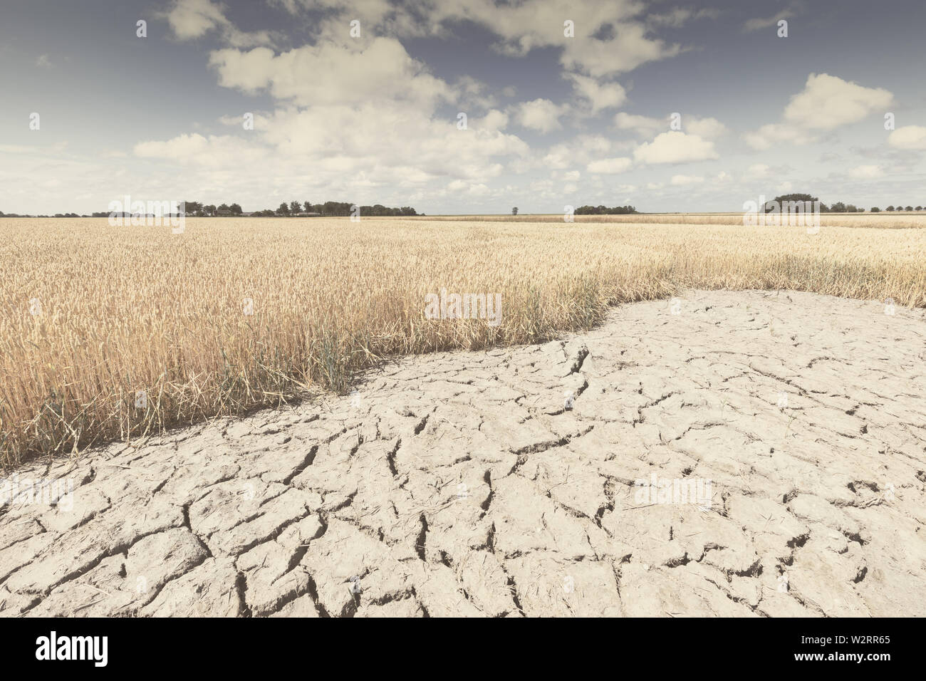 Dry and arid land with failed crops due to climate change and global warming. High temperatures heat op the atmosphere of a hot earth. Stock Photo