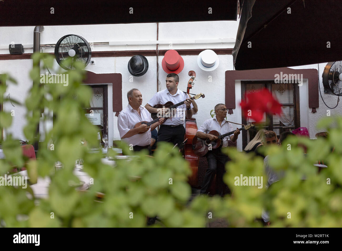 Belgrade, Serbia July 5th 2019: Musicians performing at a restaurant named Three Hats in touristic Skadarska Street also known as Skadarlija Stock Photo