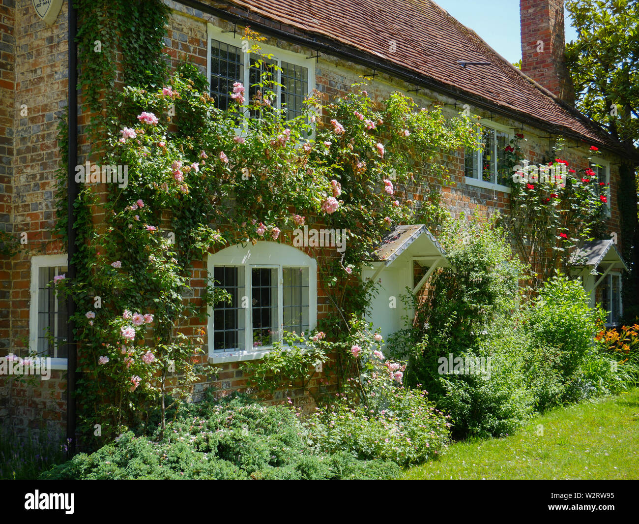 Cottage with Roses on the Ridgeway Path, Little Stoke, Hamlett, Oxfordshire, England, UK, GB. Stock Photo