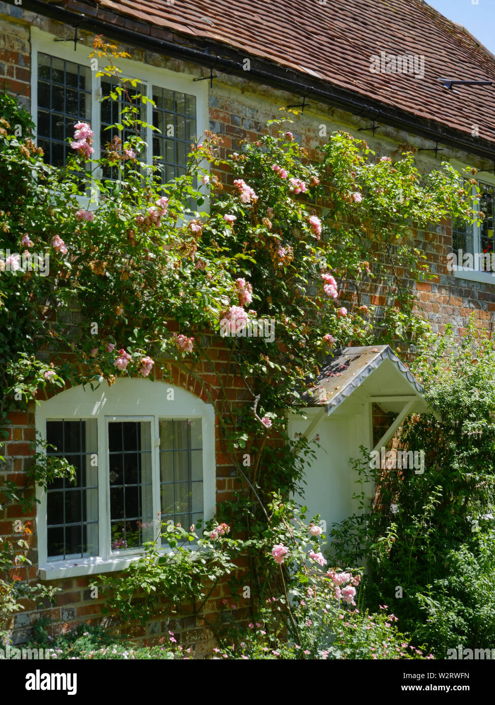 Cottage with Roses on the Ridgeway Path, Little Stoke, Hamlett, Oxfordshire, England, UK, GB. Stock Photo