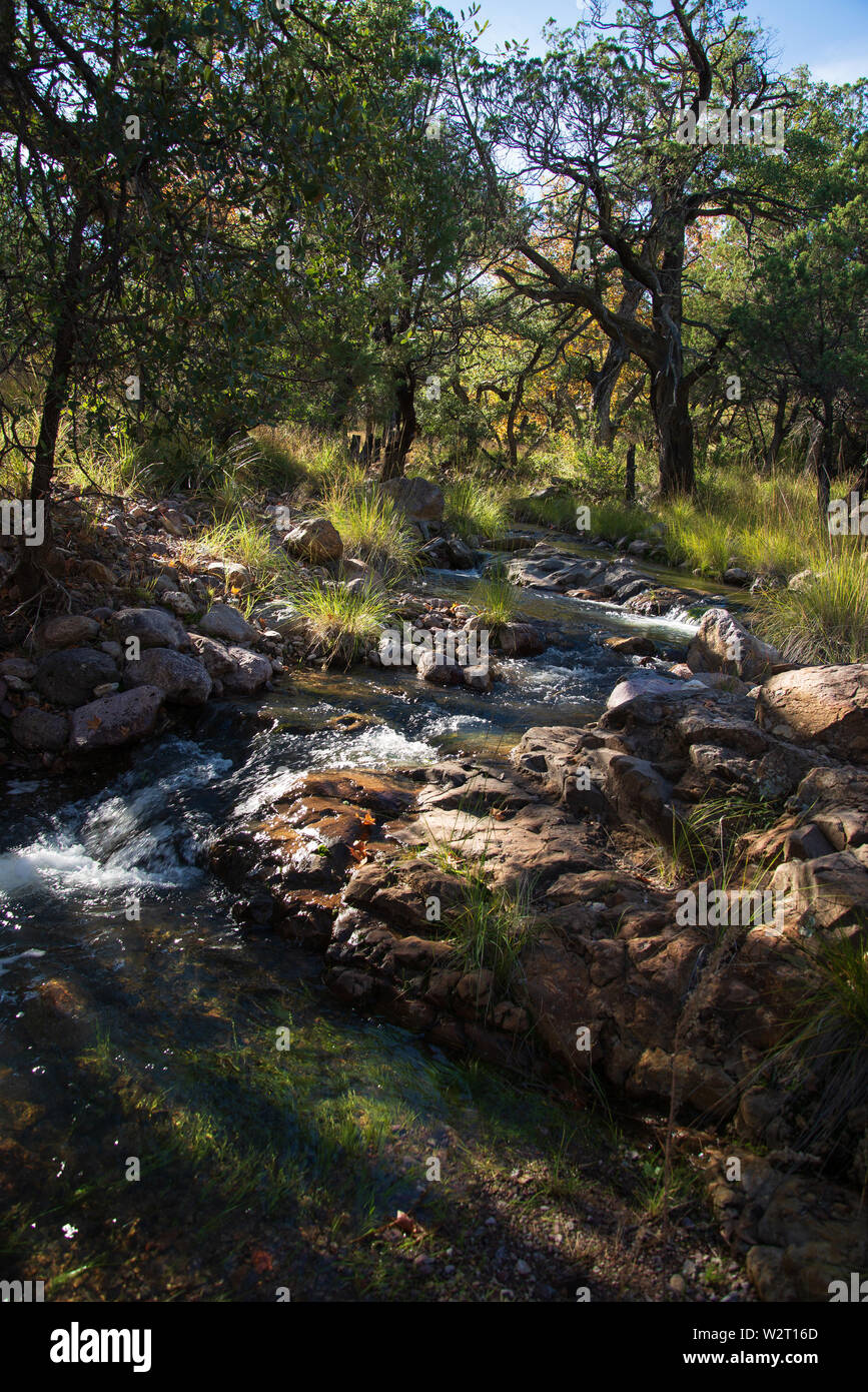 Water flows in a stream in Autumn in Gardner Canyon, Santa Rita Mountains, Sonoran Desert, Coronado National Forest, Sonoita, Arizona, USA. Stock Photo