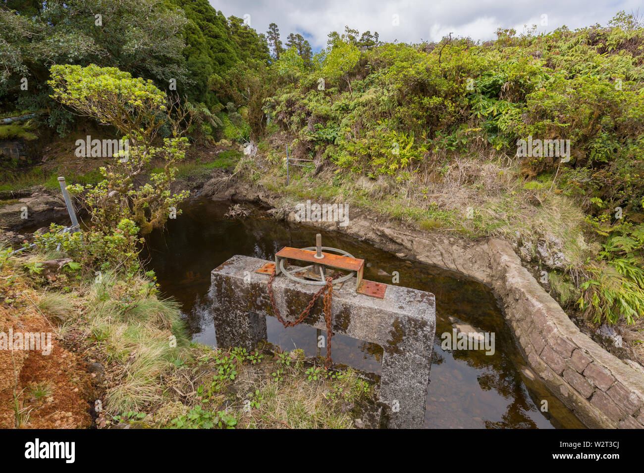 Kawainui Stream above Kamuela (Waimea)with irrigation ditch control  in North Kohala, Hawaii Stock Photo