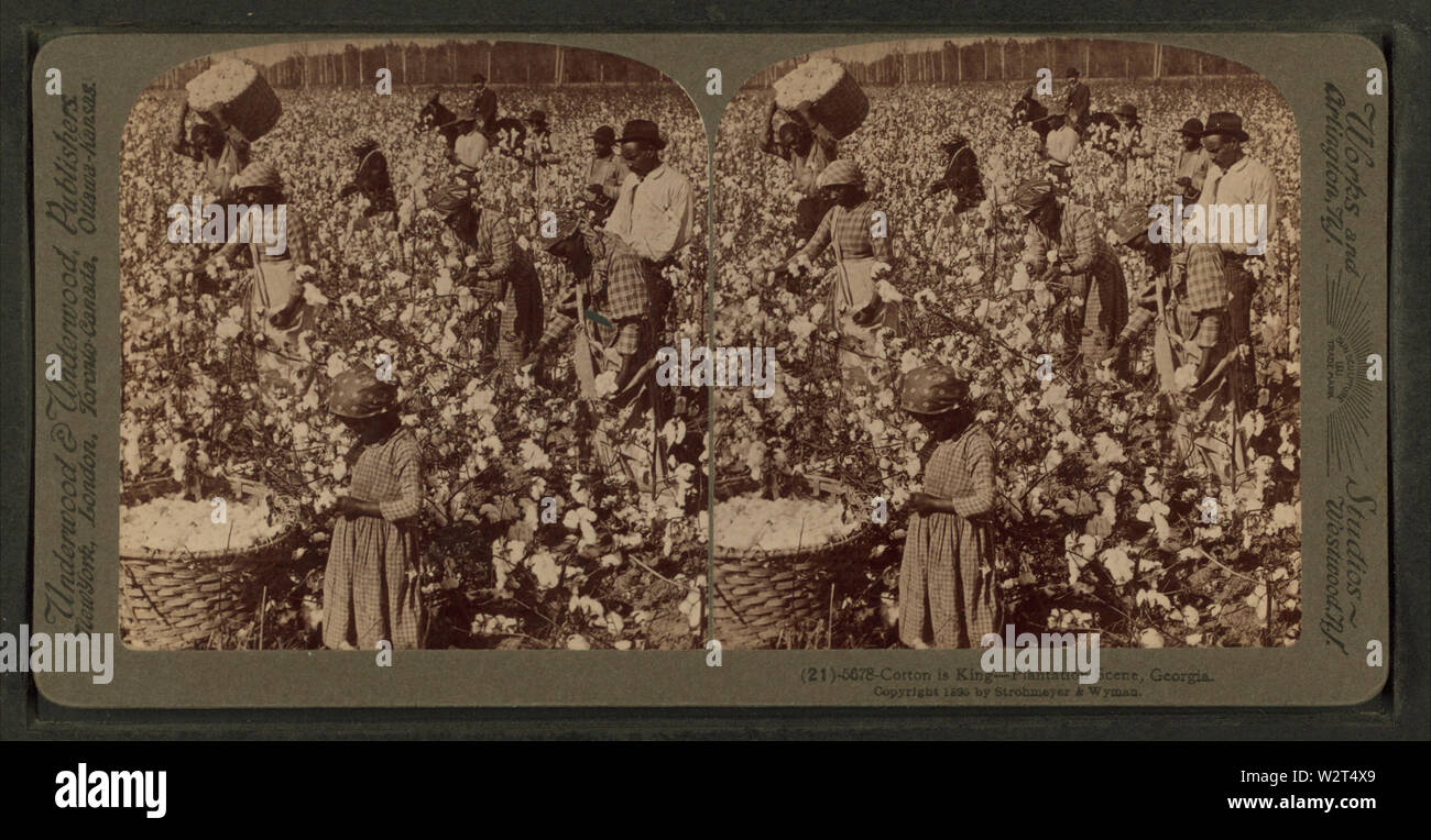 Cotton is king A plantation scene, by Underwood & Underwood
