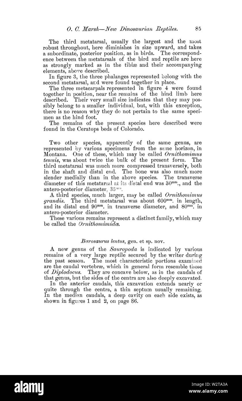 Description of New Dinosaurian Reptiles Page 5 Stock Photo