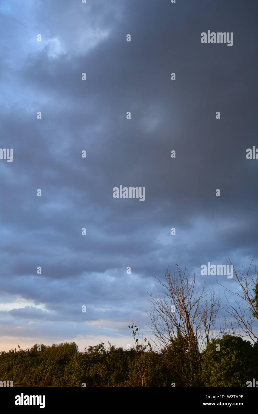landscape, skyscape, cloudy sky with trees in the distance Stock Photo ...