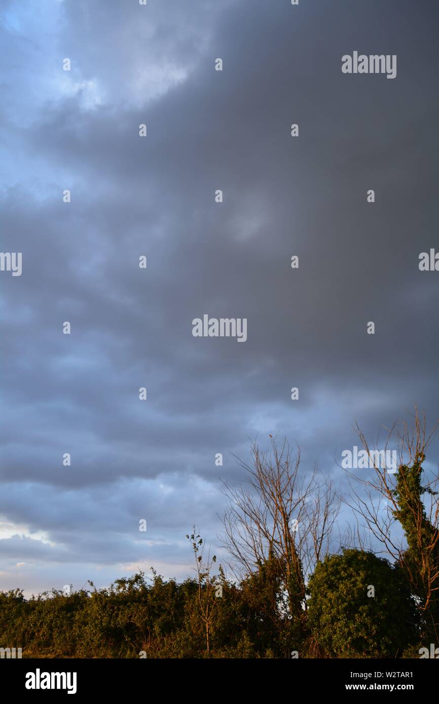 landscape, skyscape, cloudy sky with trees in the distance Stock Photo ...