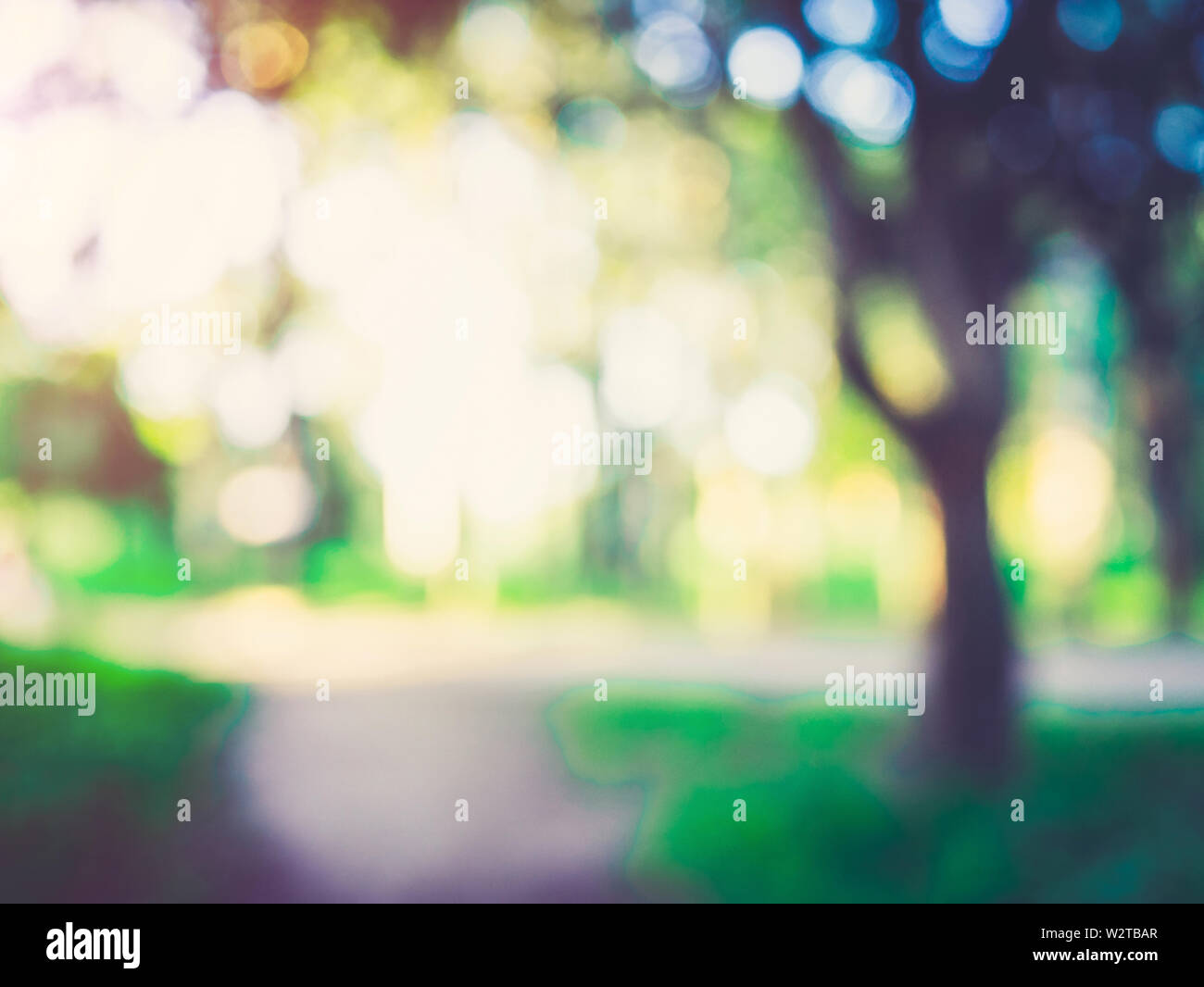 Macro background green park Stock Photo - Alamy