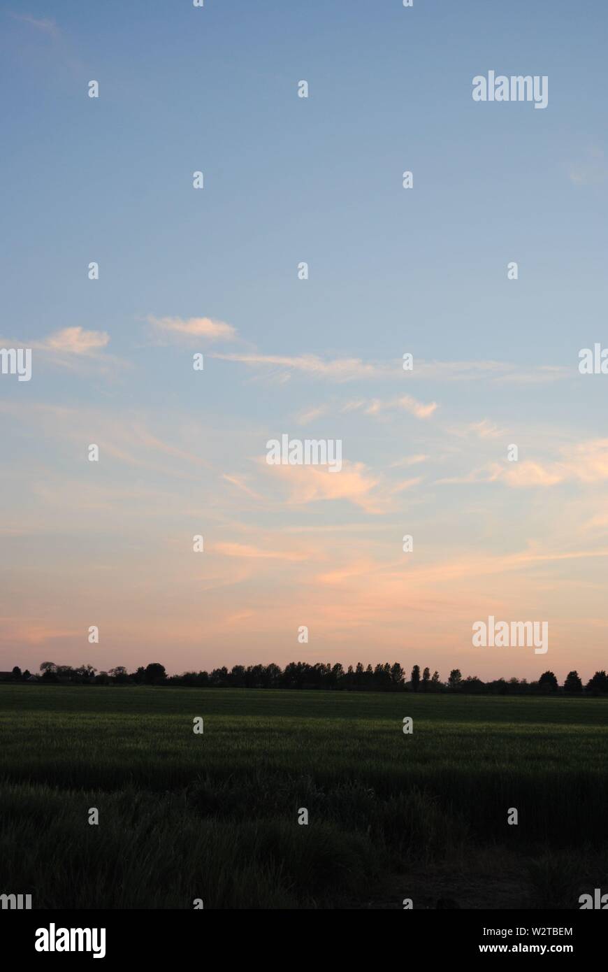 landscape, skyscape, cloudy sky with trees in the distance Stock Photo ...