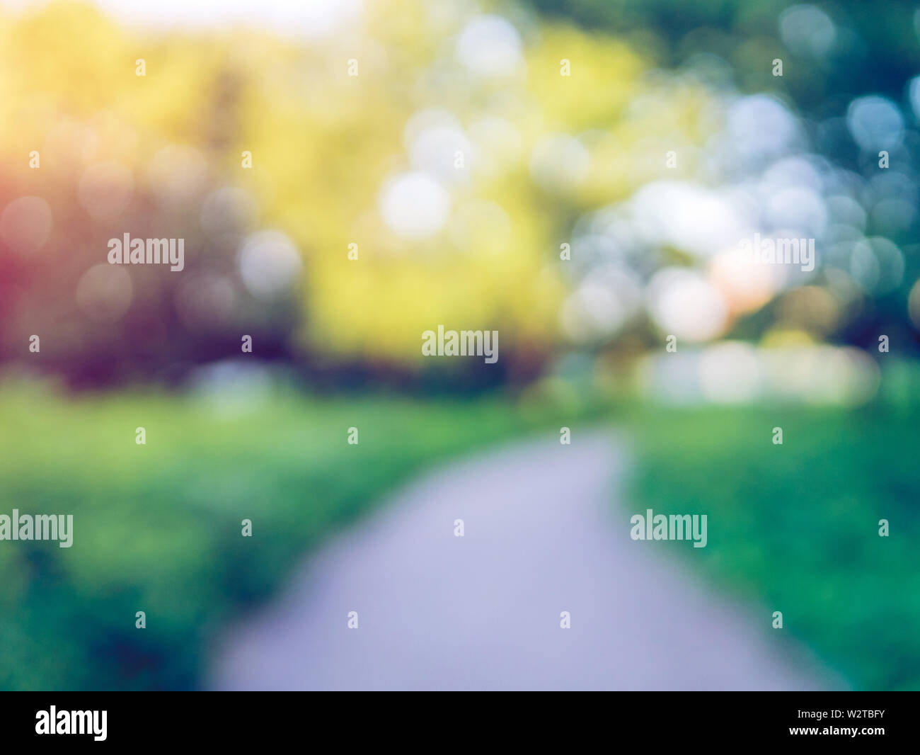 Macro background green park Stock Photo - Alamy