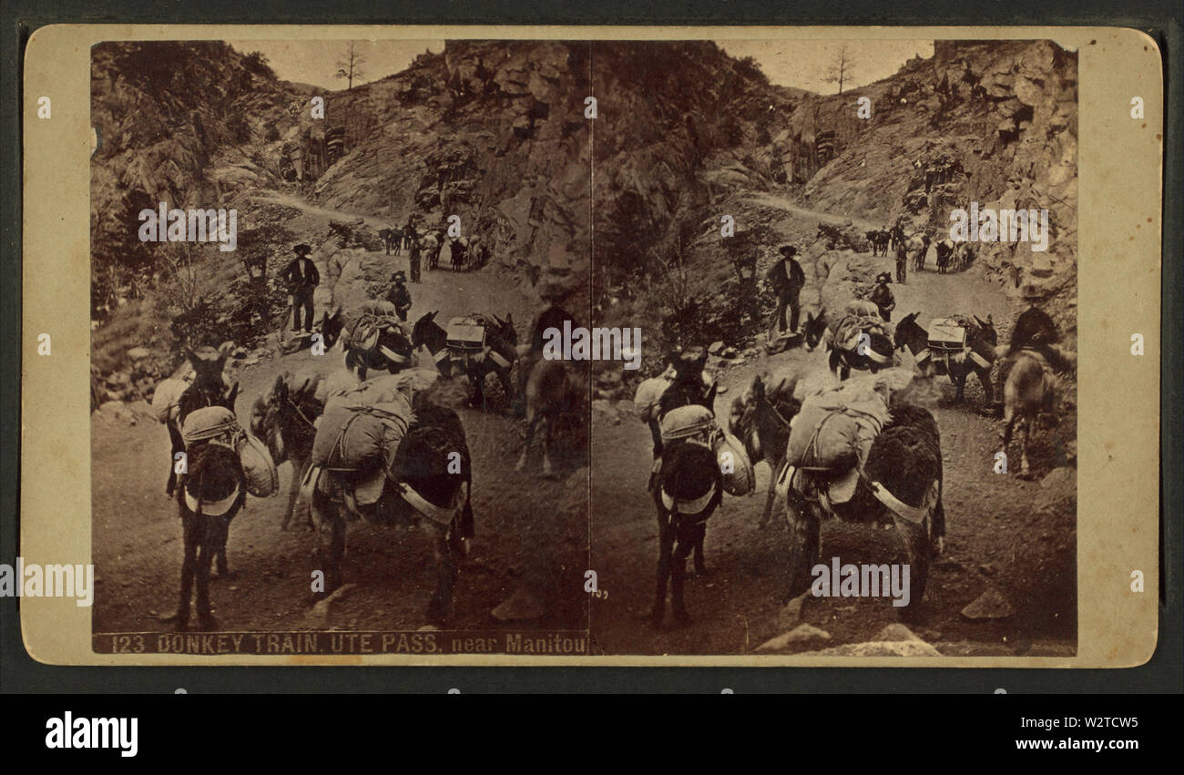 Donkey train, Ute Pass, near Manitou, by Weitfle, Charles, 1836-1921 2 ...