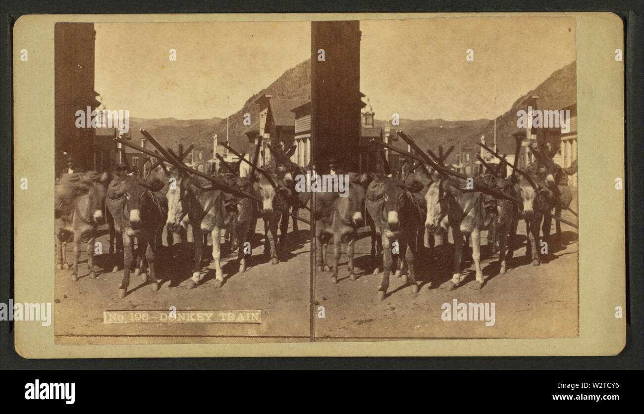Donkey train, by Weitfle, Charles, 1836-1921 Stock Photo - Alamy