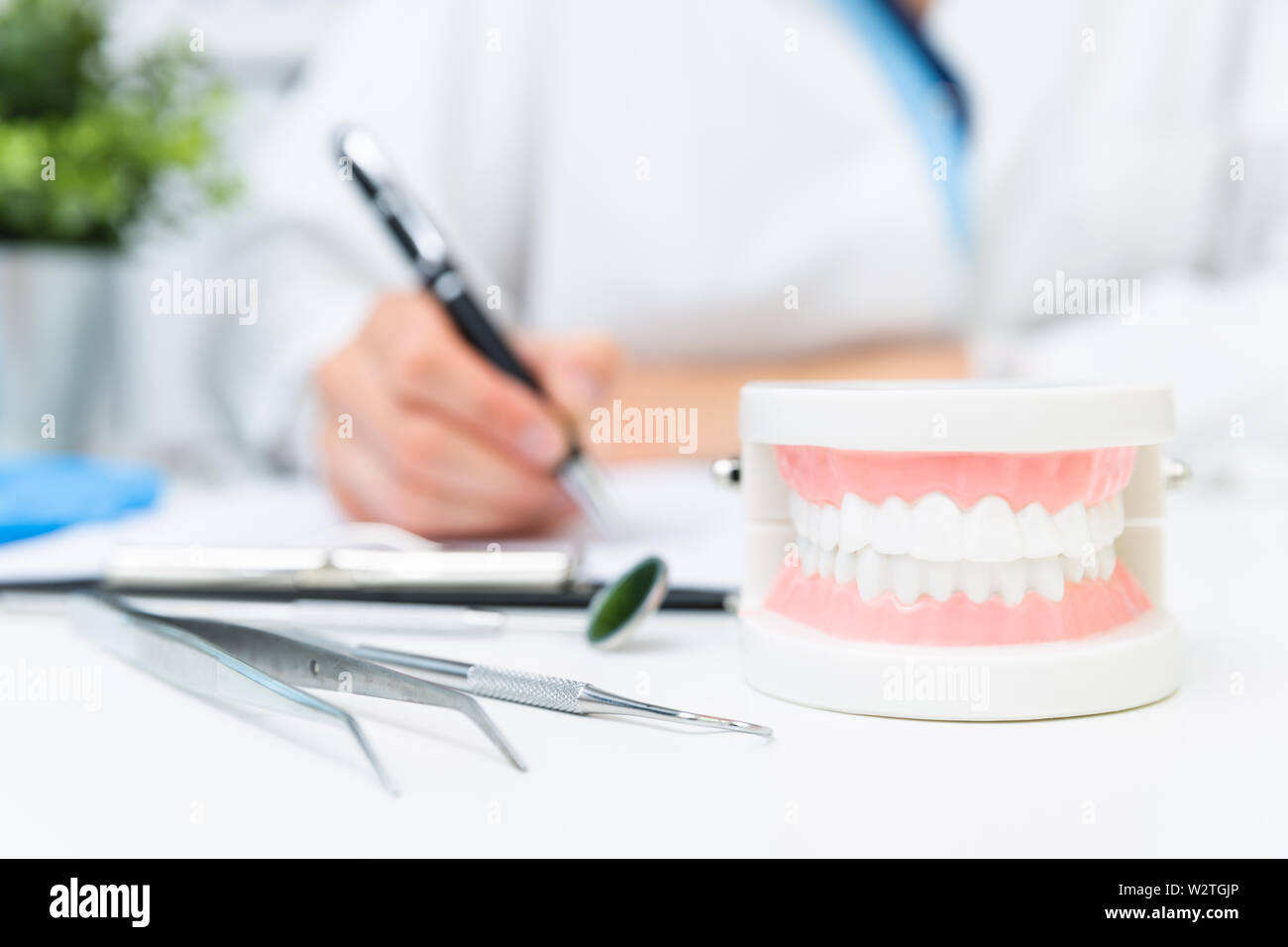 Female dentist holding professional stomatology tool and pointing at the teeth model. Dental hygiene and health concept Stock Photo